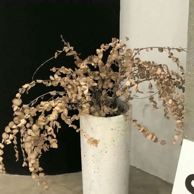 襄垣FurryQQ群介绍